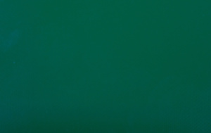 Конвейерная лента Holzer GP PVC S3 300 AG 3.6 AS 0.7+0 Конвейерная лента Holzer GP PVC S3 300 AG 3.6 AS 0.7+0